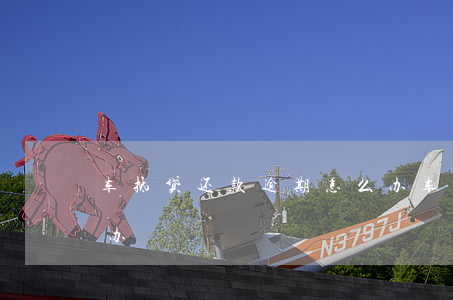 車抵貸是怎么還款的(車抵貸正常還款會有風險嗎)？ (http://www.ssksuo.cn/) 知識問答 第2張