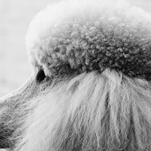 車抵貸抵押車鑰匙安全嗎(抵押車鑰匙貸款)？ (http://www.ssksuo.cn/) 知識(shí)問答 第9張