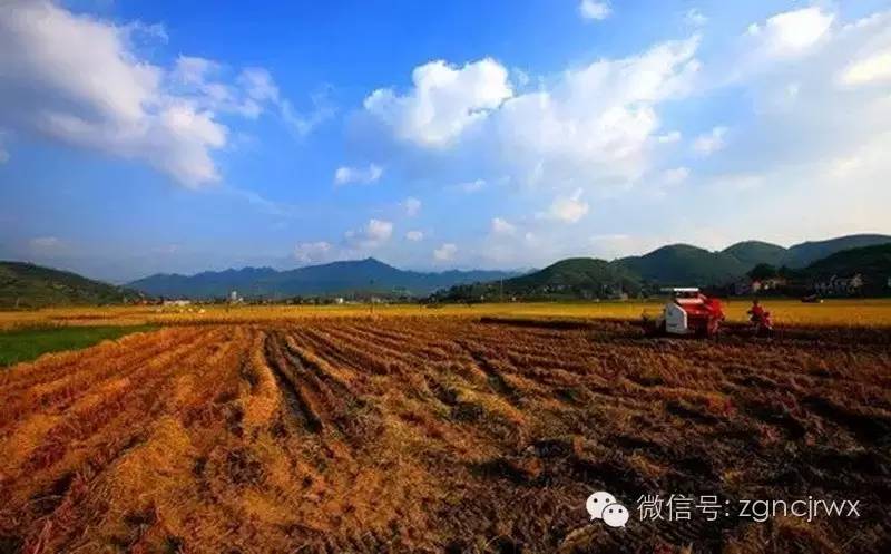 安吉汽車抵押貸款公司(安吉汽車抵押貸款公司客服)？ (http://www.ssksuo.cn/) 知識問答 第2張