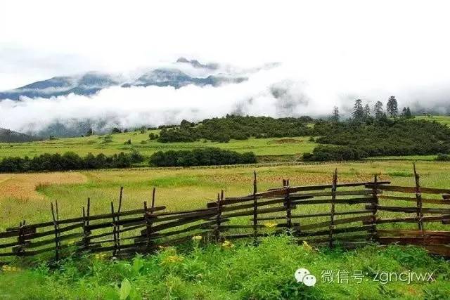 安吉汽車抵押貸款公司(安吉汽車抵押貸款公司客服)？ (http://www.ssksuo.cn/) 知識問答 第3張
