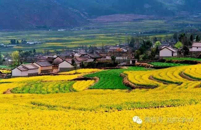 安吉汽車抵押貸款公司(安吉汽車抵押貸款公司客服)？ (http://www.ssksuo.cn/) 知識問答 第4張