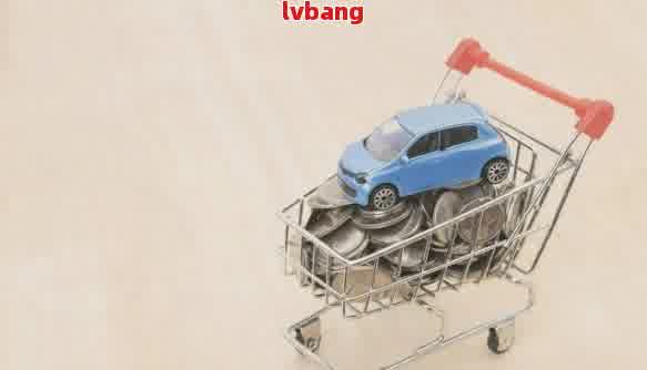 有車輛抵押貸款(抵押貸款車輛有什么影響)？ (http://www.ssksuo.cn/) 知識問答 第1張