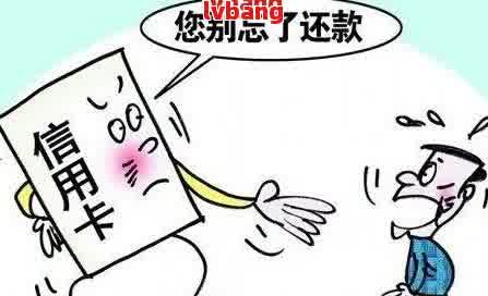 車抵押貸款平臺有(有哪些抵押車貸公司正規(guī)的)？ (http://www.ssksuo.cn/) 知識問答 第5張