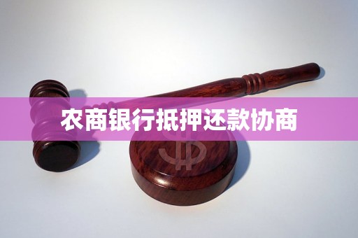農(nóng)商銀行汽車抵押貸(農(nóng)商銀行用車抵押貸款怎么貸)？ (http://www.ssksuo.cn/) 知識問答 第1張
