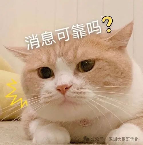 車輛抵押貸款必須要綠本嗎(抵押車子綠本也要看征信嗎)？ (http://www.ssksuo.cn/) 知識問答 第2張