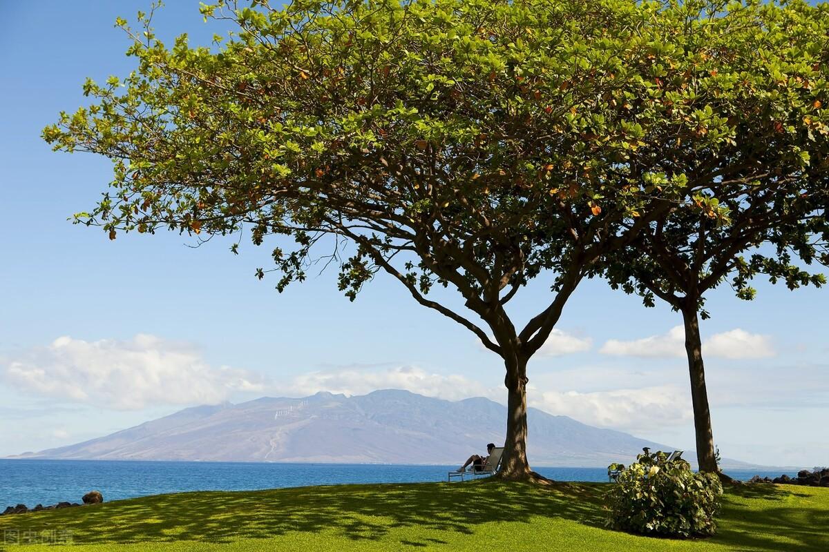 車抵押貸款銀行貸款怎么貸(銀行抵押貸款車子)？ (http://www.ssksuo.cn/) 知識問答 第7張