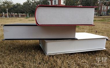 車抵貸二次抵押(抵押車貸款比例)？ (http://www.ssksuo.cn/) 知識(shí)問答 第1張