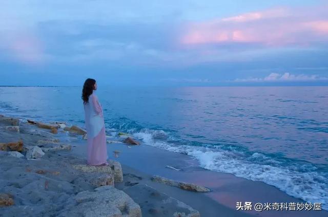 正規(guī)抵押車可以貸平臺(抵押正規(guī)貸車平臺可以貸多少錢)？ (http://www.ssksuo.cn/) 知識問答 第9張