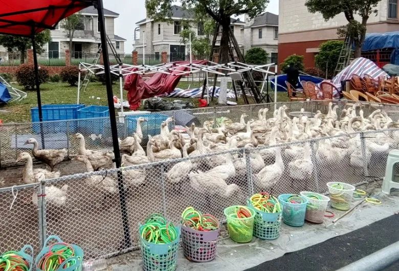 常州車輛抵押貸款(常州抵押貸款車輛怎么過戶)？ (http://www.ssksuo.cn/) 知識問答 第14張