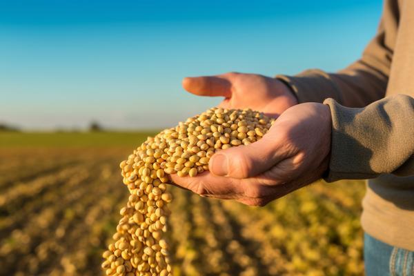 昆明車輛抵押貸款(抵押昆明貸款車輛要求)？ (http://www.ssksuo.cn/) 知識問答 第2張