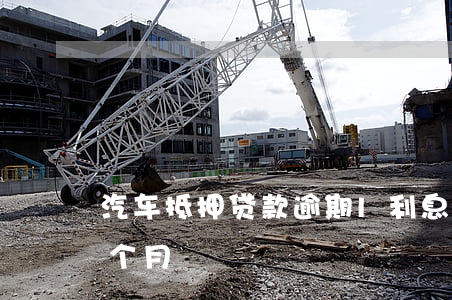 車抵押貸款的利息(抵押車子貸款利息)？ (http://www.ssksuo.cn/) 知識(shí)問答 第2張