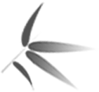 車貸款抵押綠本(汽車抵押貸款綠本)？ (http://www.ssksuo.cn/) 知識問答 第3張