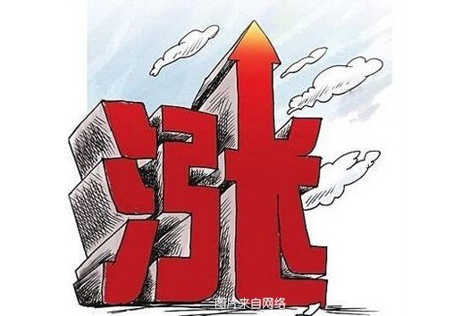 貸款車做抵押(個(gè)人貨車掛靠問(wèn)題)？ (http://www.ssksuo.cn/) 知識(shí)問(wèn)答 第5張