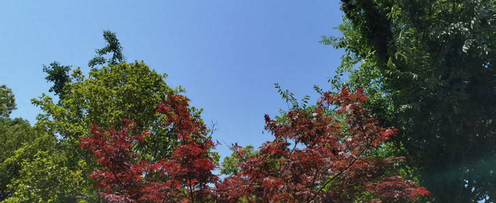 上海房產(chǎn)抵押(婚前婚后房產(chǎn)分割)？ (http://www.ssksuo.cn/) 知識問答 第1張