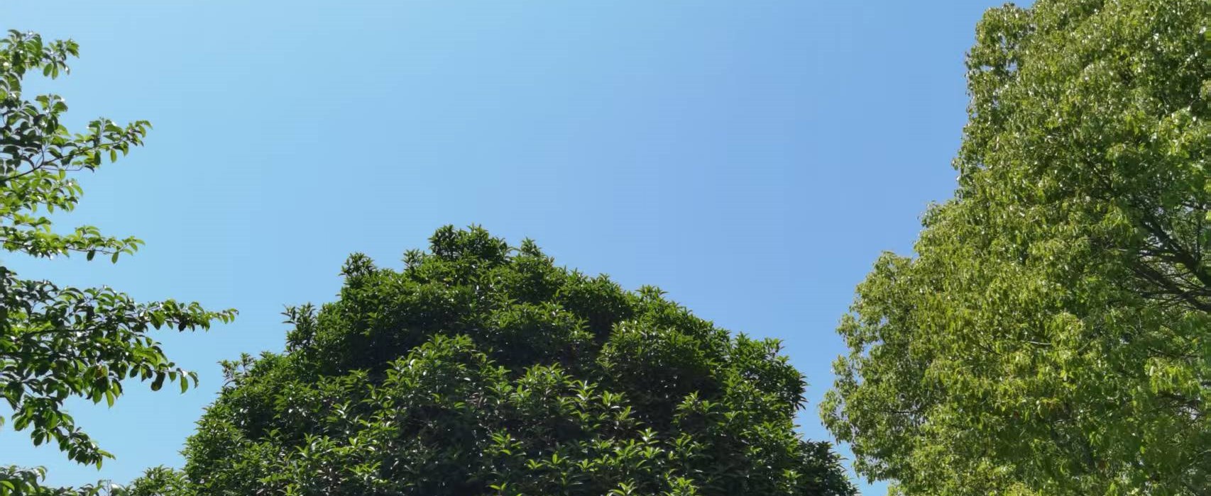 上海房產(chǎn)抵押(婚前婚后房產(chǎn)分割)？ (http://www.ssksuo.cn/) 知識問答 第2張