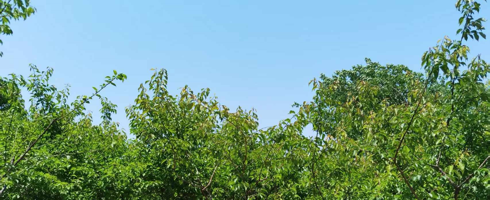 上海房產(chǎn)抵押(婚前婚后房產(chǎn)分割)？ (http://www.ssksuo.cn/) 知識問答 第4張