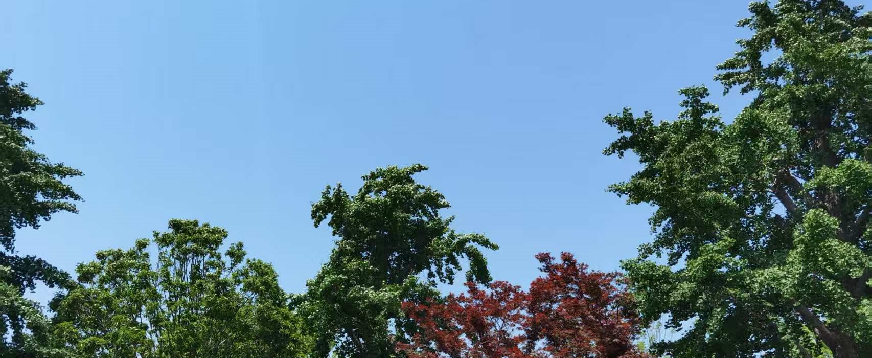 上海房產(chǎn)抵押(婚前婚后房產(chǎn)分割)？ (http://www.ssksuo.cn/) 知識問答 第5張