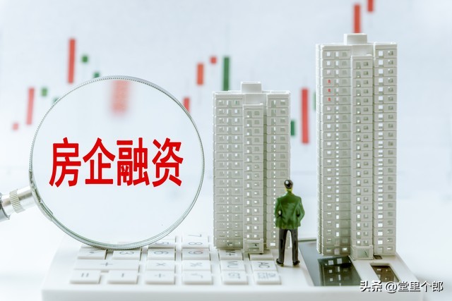 20萬(wàn)車抵押貸款能貸多少(房貸額度影響因素分析)？ (http://www.ssksuo.cn/) 知識(shí)問(wèn)答 第3張