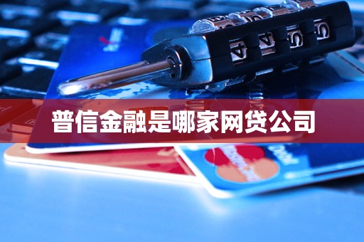 汽車抵押貸款哪家公司可靠(普信金融核心業(yè)務(wù)分析)？ (http://www.ssksuo.cn/) 知識(shí)問答 第3張