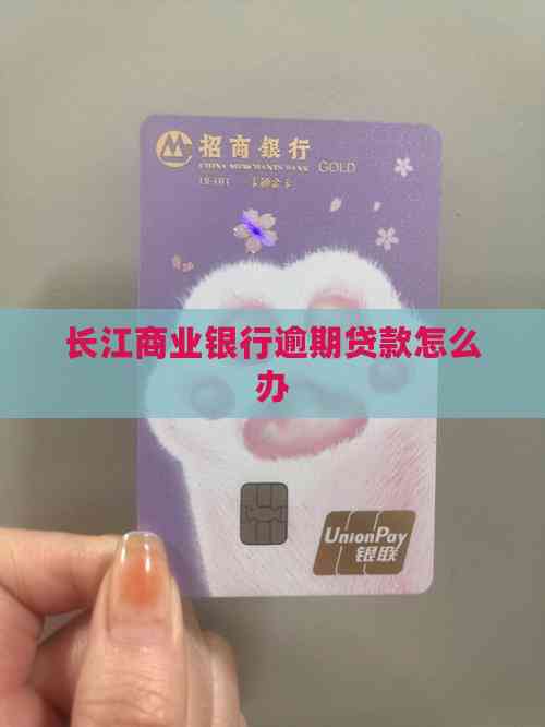 車輛 抵押貸款咨詢(逾期貸款處理方法)？ (http://www.ssksuo.cn/) 知識問答 第2張